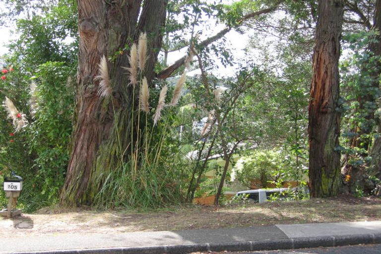 Photo of property in 105 Stredwick Drive, Torbay, Auckland, 0630
