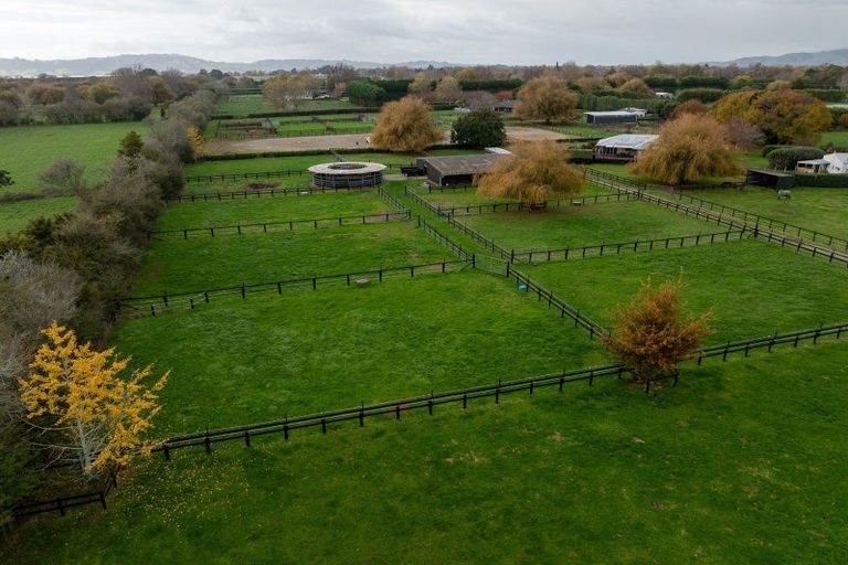 Photo of property in 204 Racecourse Road, Cambridge, 3493