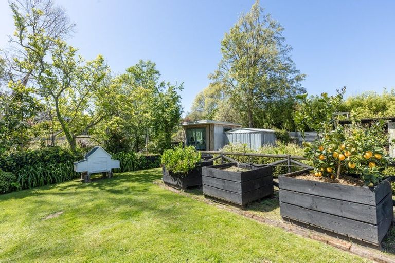 Photo of property in 49-53 Mchardy Street, Havelock North, 4130