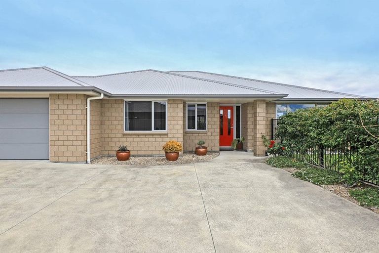 Photo of property in 10 Lochhead Street, Mahora, Hastings, 4120