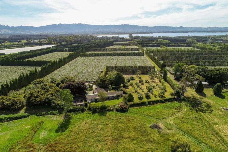 Photo of property in 380b Matahui Road, Aongatete, Katikati, 3181