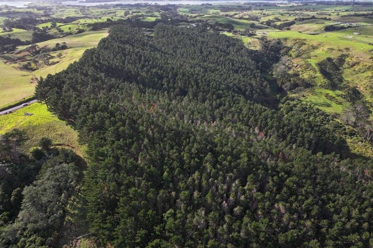 Photo of property in 2 Awhitu Road, Waiuku, 2683