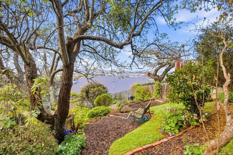 Photo of property in 18 Kevin Street, Mornington, Dunedin, 9011
