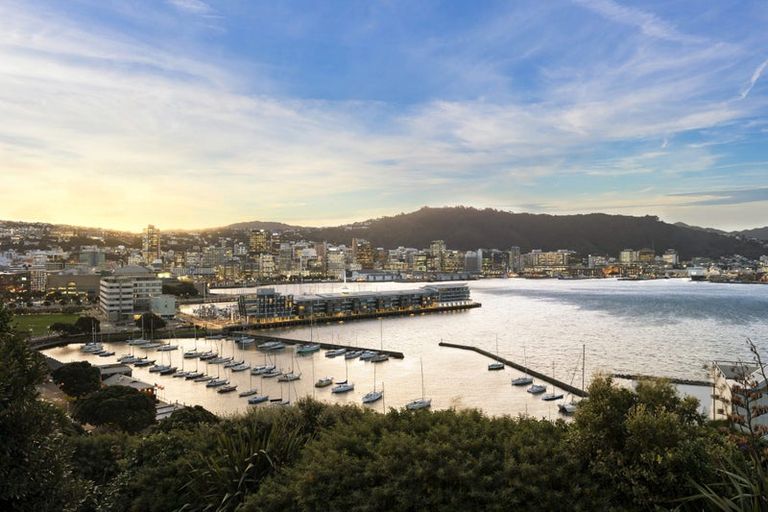 Photo of property in 44 Mcfarlane Street, Mount Victoria, Wellington, 6011