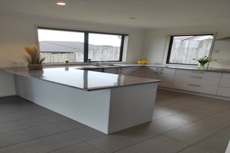 Photo of property in 19 Mcgowan Rise, Tuakau, 2121