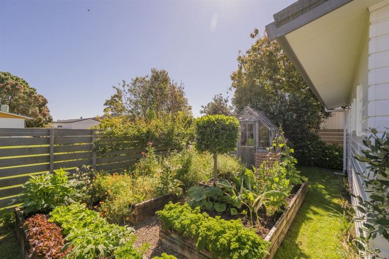 Photo of property in 65 Robinson Road, Whitianga, 3510