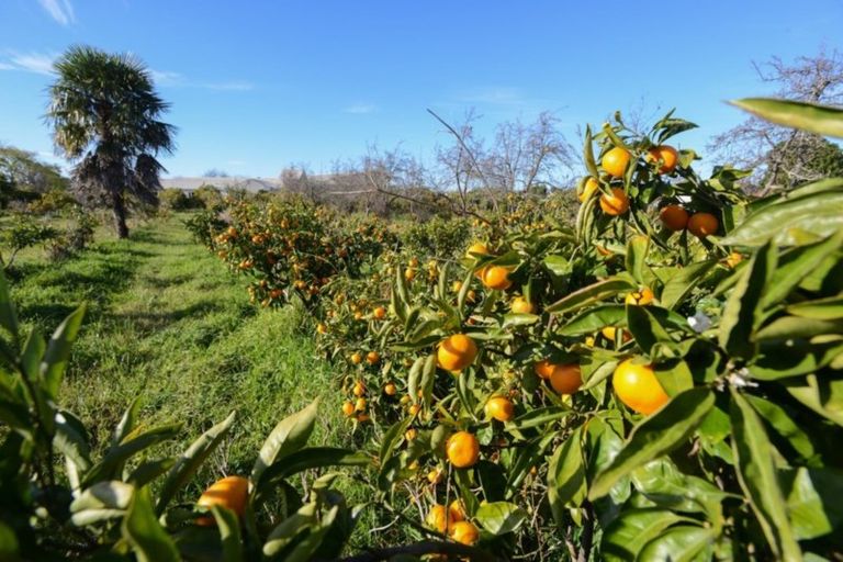 Photo of property in 133 Main Rd Clive, Clive, 4102