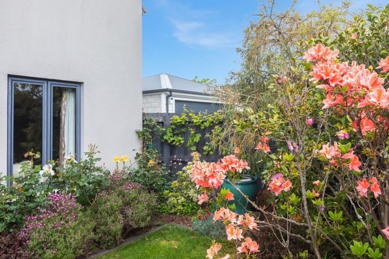 Photo of property in 57 Hinau Street, Fendalton, Christchurch, 8041