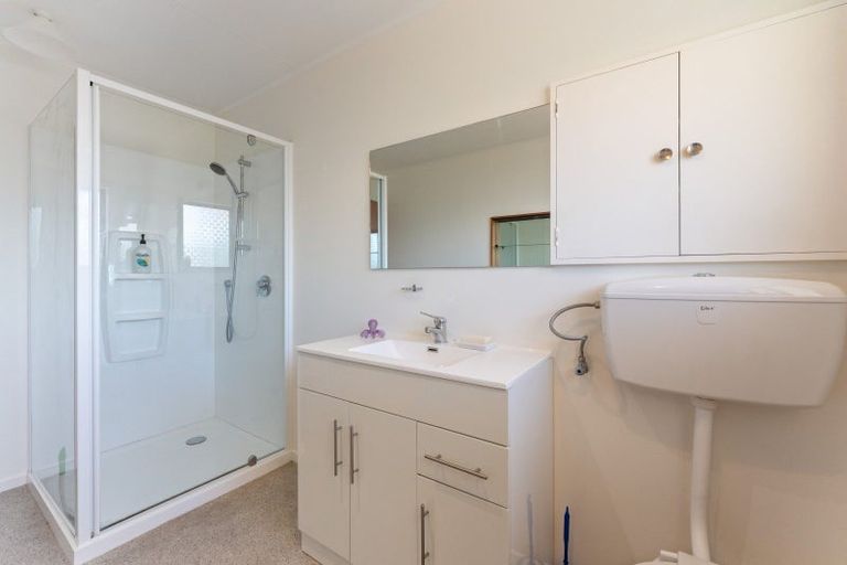 Photo of property in 44 Plymouth Street, Whanganui, 4500