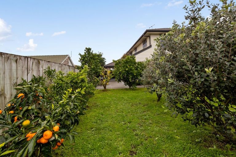 Photo of property in 52 Macfarlane Street, Hamilton East, Hamilton, 3216