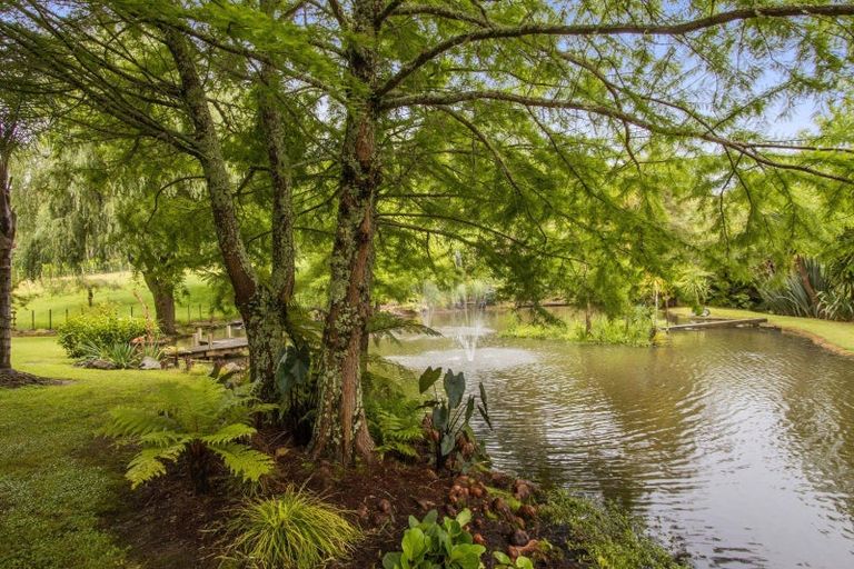 Photo of property in 24 Tuapiro Road, Tahawai, Katikati, 3170