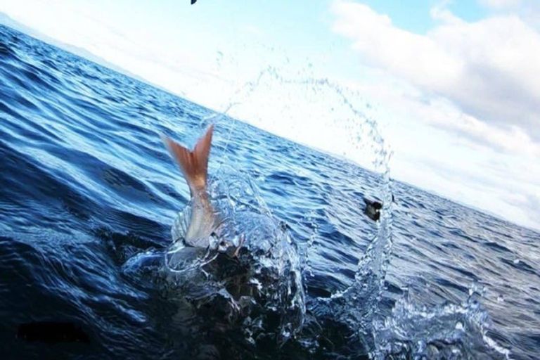 Photo of property in 10 Eames Crescent, Te Mata, Thames, 3575