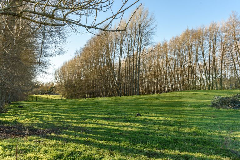 Photo of property in 48 Belk Road South, Omanawa, Tauranga, 3173