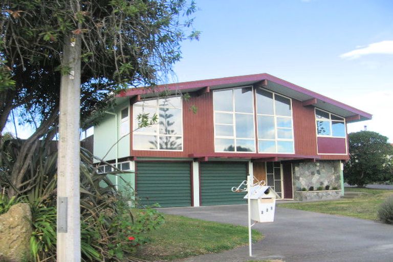 Photo of property in 228 Te Awa Avenue, Awatoto, Napier, 4110