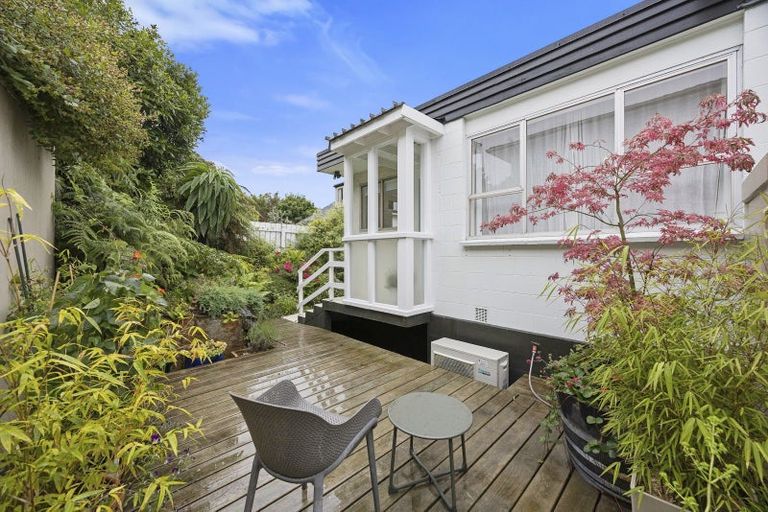 Photo of property in 18d Lawson Street, Roslyn, Dunedin, 9011