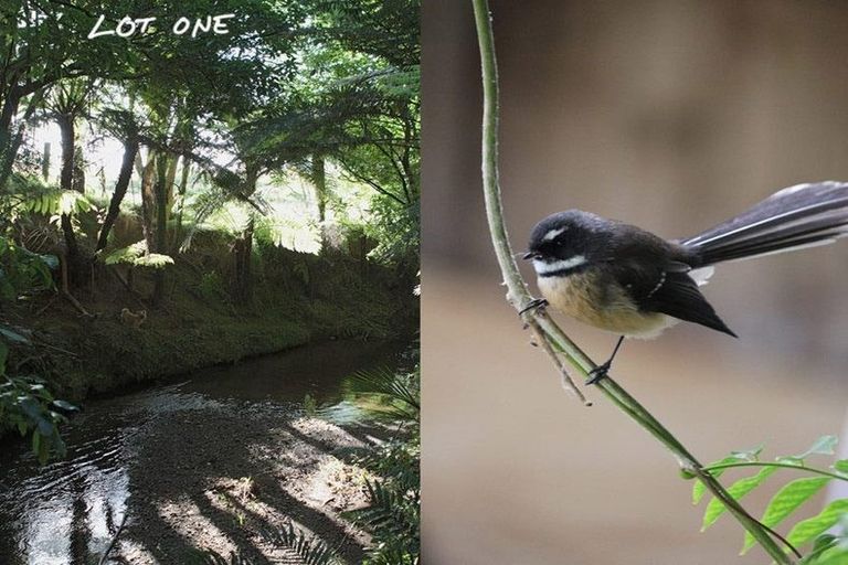 Photo of property in 540 Kawakawa-orere Road, Orere Point, Papakura, 2585