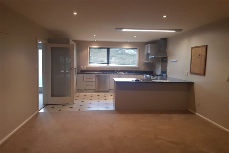 Photo of property in 7 Mcdougall Avenue, St Albans, Christchurch, 8014