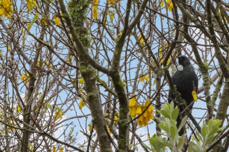 Photo of property in 47 Hussey Street, Waverley, 4510