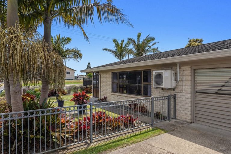 Photo of property in 25 Victoria Avenue, Whakatane, 3120