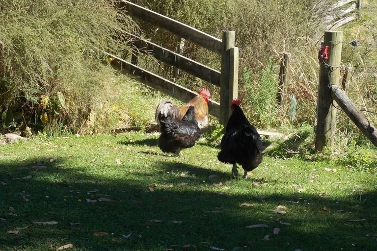 Photo of property in 70 Greens Road, Linton, Palmerston North, 4472