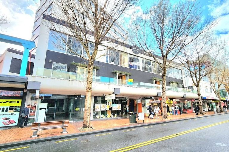 Photo of property in Breeze Plaza, 1001/57 Manners Street, Te Aro, Wellington, 6011