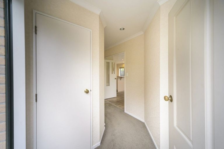 Photo of property in 161 College Street, Awapuni, Palmerston North, 4412