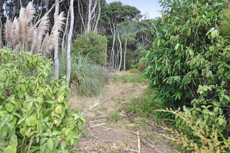 Photo of property in 6 Lavinia Place, Kawau Island, 0920