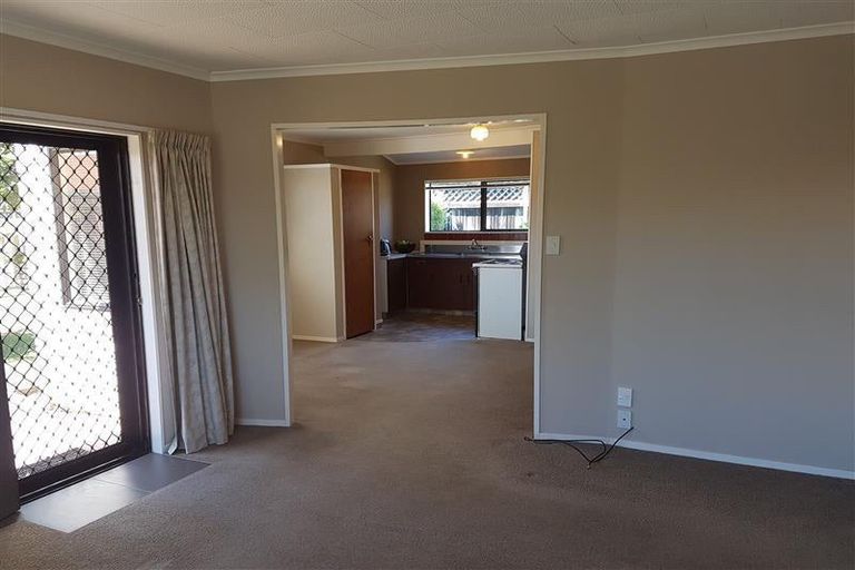 Photo of property in 3/12 Buchanan Street, Matamata, 3400