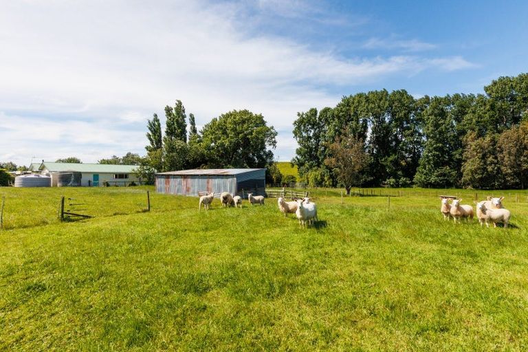 Photo of property in 31 Millricks Line, Linton, Palmerston North, 4472