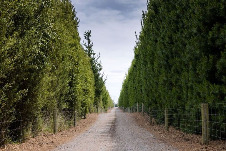 Photo of property in 2/243 Weedons Ross Road, Rolleston, Christchurch, 7675