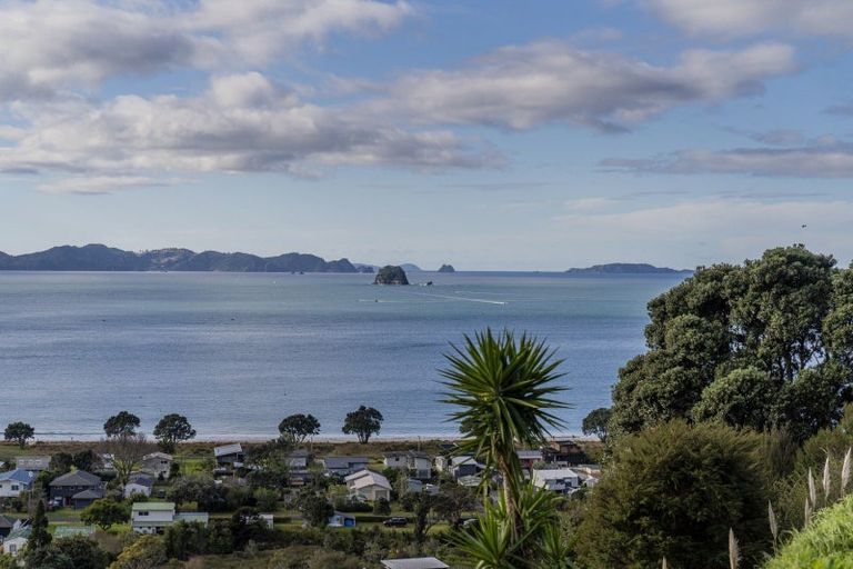 Photo of property in 899f Purangi Road, Cooks Beach, Whitianga, 3591