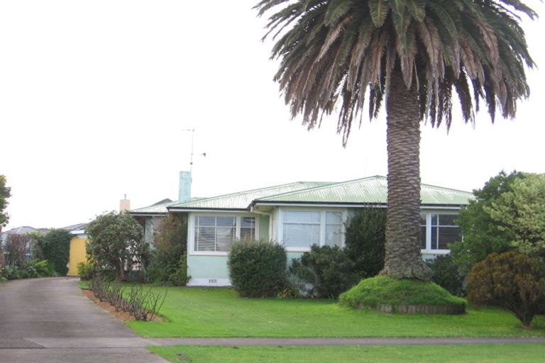 Photo of property in 105 Fitzroy Street, Terrace End, Palmerston North, 4410