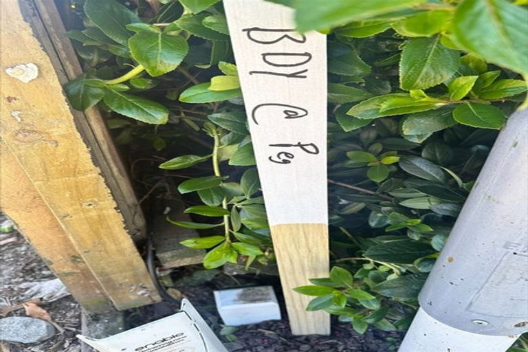 Photo of property in 403 Halswell Road, Halswell, Christchurch, 8025