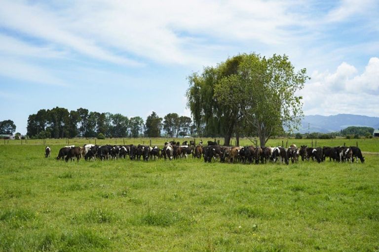 Photo of property in 306 Ferry Road, Waltham, Christchurch, 8011