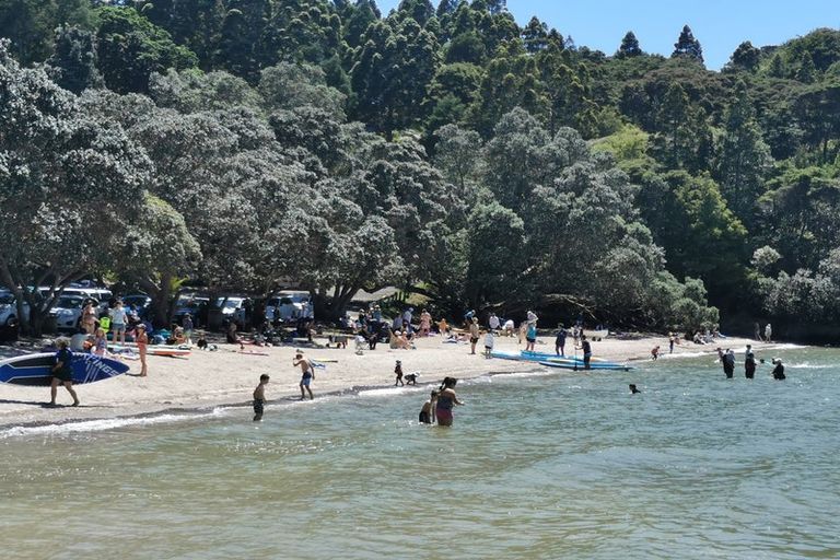 Photo of property in 128 Otitori Bay Road, Titirangi, Auckland, 0604