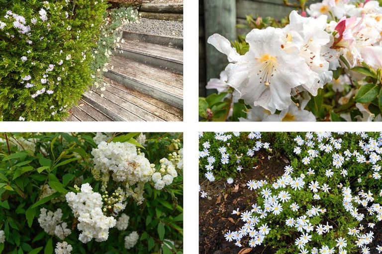 Photo of property in 61 Waipuna Grove, Welcome Bay, Tauranga, 3112