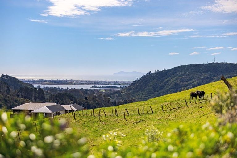 Photo of property in 566d Waitao Road, Waitao, Tauranga, 3175