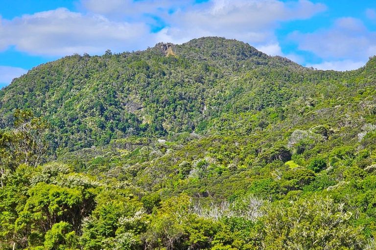 Photo of property in 281 Waiotemarama Gorge Road, Opononi, Kaikohe, 0473