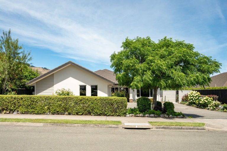 Photo of property in 102 Champion Road, Richmond, 7020