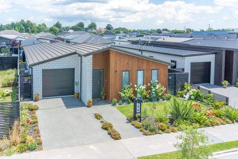 Photo of property in 31 Trewern Avenue, Chartwell, Hamilton, 3210