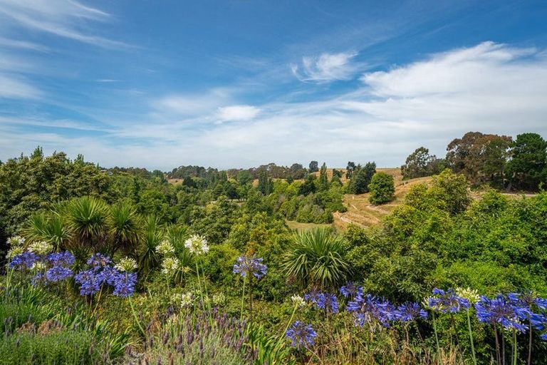 Photo of property in 55 Barnes Street, Glenwood, Timaru, 7910