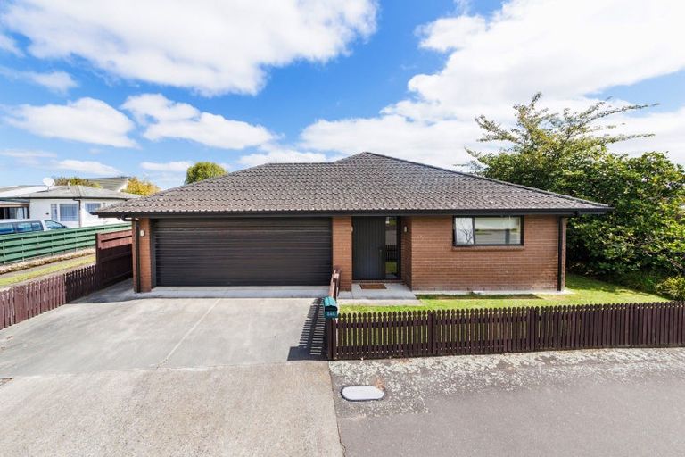 Photo of property in 346 Ruahine Street, Terrace End, Palmerston North, 4410