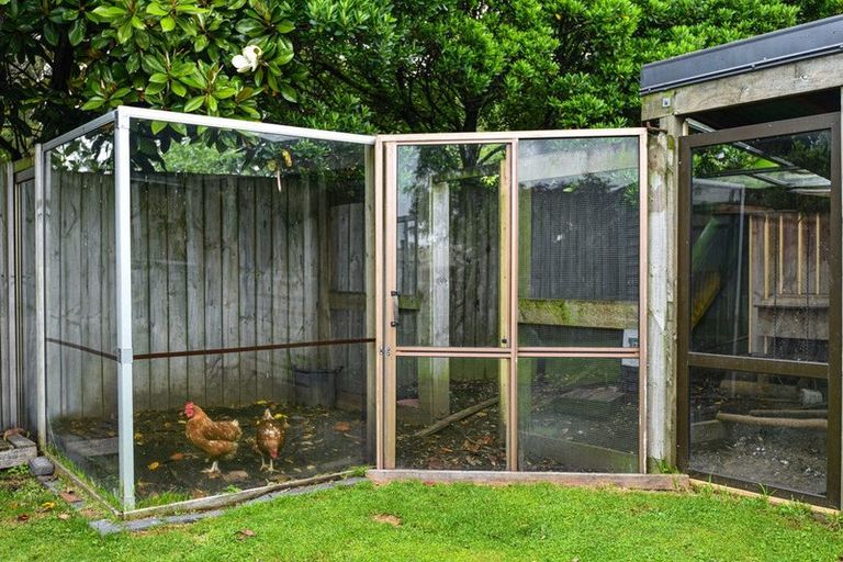 Photo of property in 336 Sunset Road, Sunnybrook, Rotorua, 3015