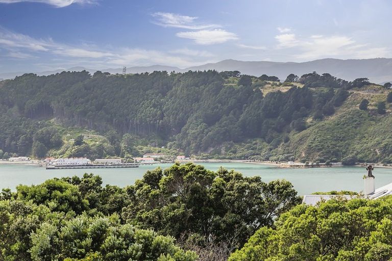 Photo of property in 18 Hataitai Road, Hataitai, Wellington, 6021