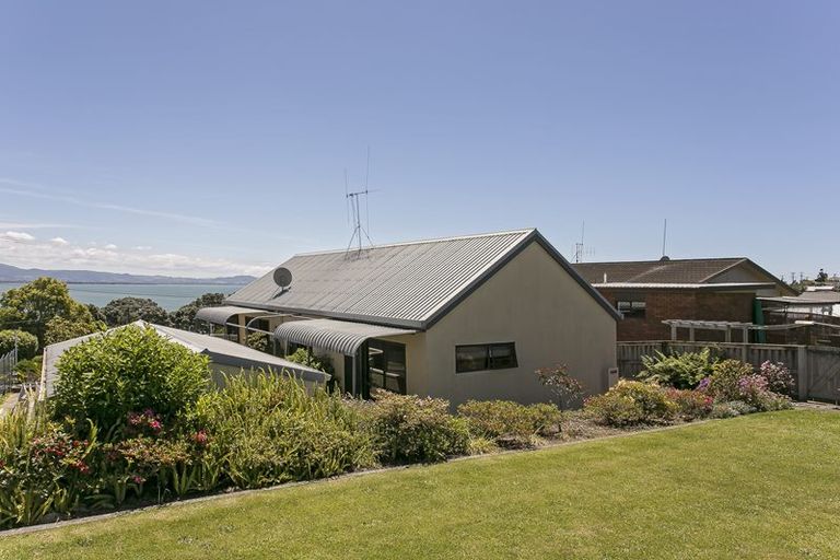 Photo of property in 21 Hamurana Road, Omokoroa, 3114