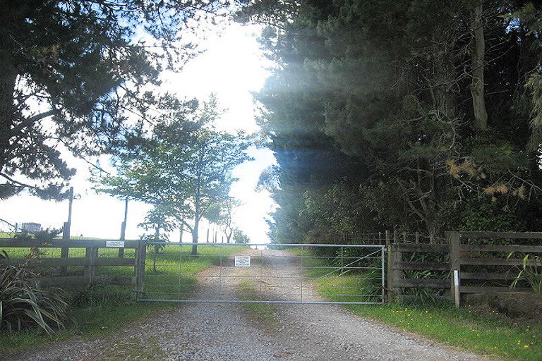 Photo of property in 1452 No 2 Road, Te Ranga, Te Puke, 3182