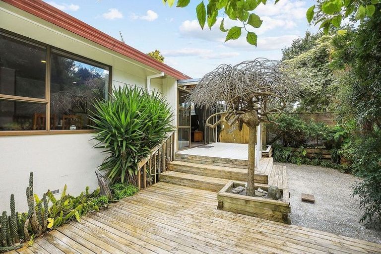 Photo of property in 46 Kowhai Street, Hamilton Lake, Hamilton, 3204