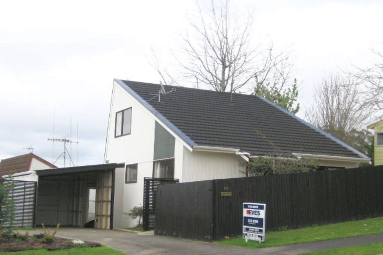 Photo of property in 46 Winchester Terrace, Bethlehem, Tauranga, 3110