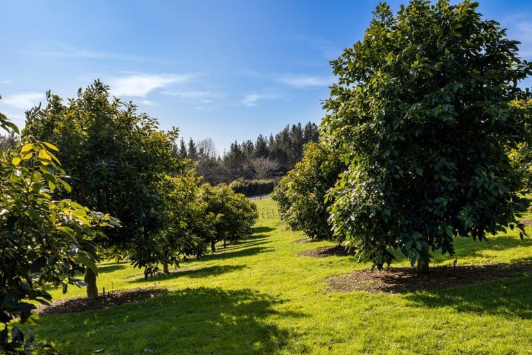 Photo of property in 26 Warner Road, Oropi, Tauranga, 3173