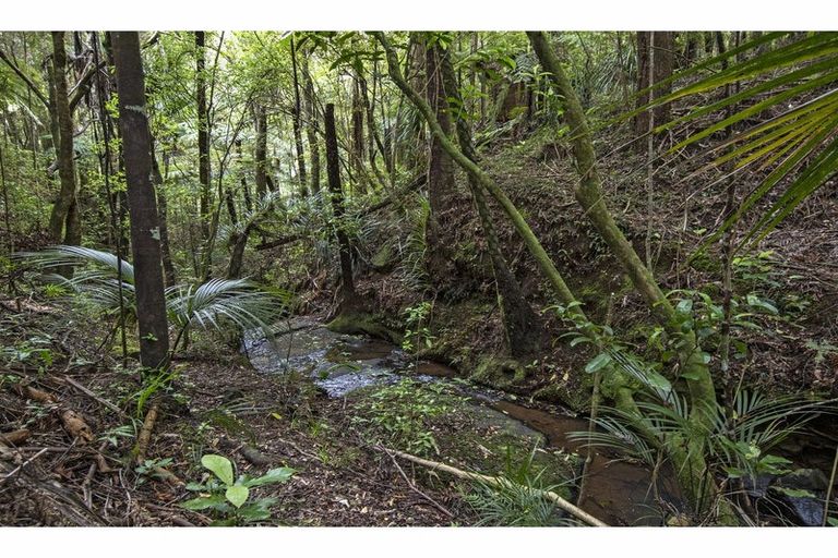 Photo of property in 106 Trounson Park Road, Kaihu, Dargaville, 0379